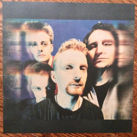 'Hallucigenia' insert 2