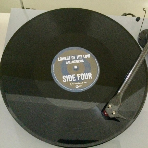 'Hallucigenia' on the turntable